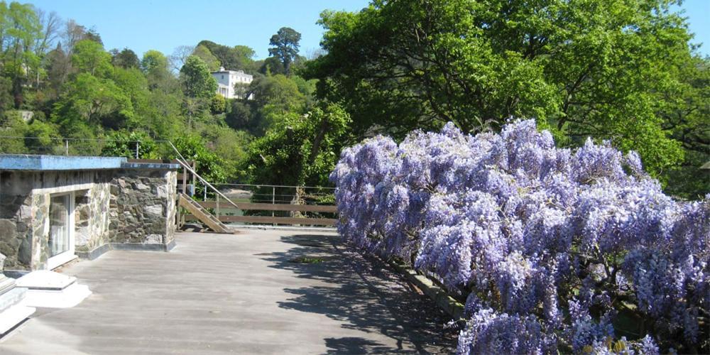 Vipers Quay Villa Dartmouth Bagian luar foto